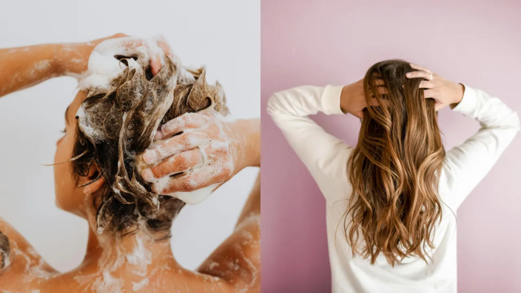 Complete hair care guide for choosing the right shampoo and conditioner
